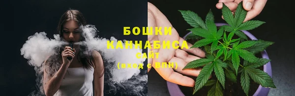 сатива Медвежьегорск
